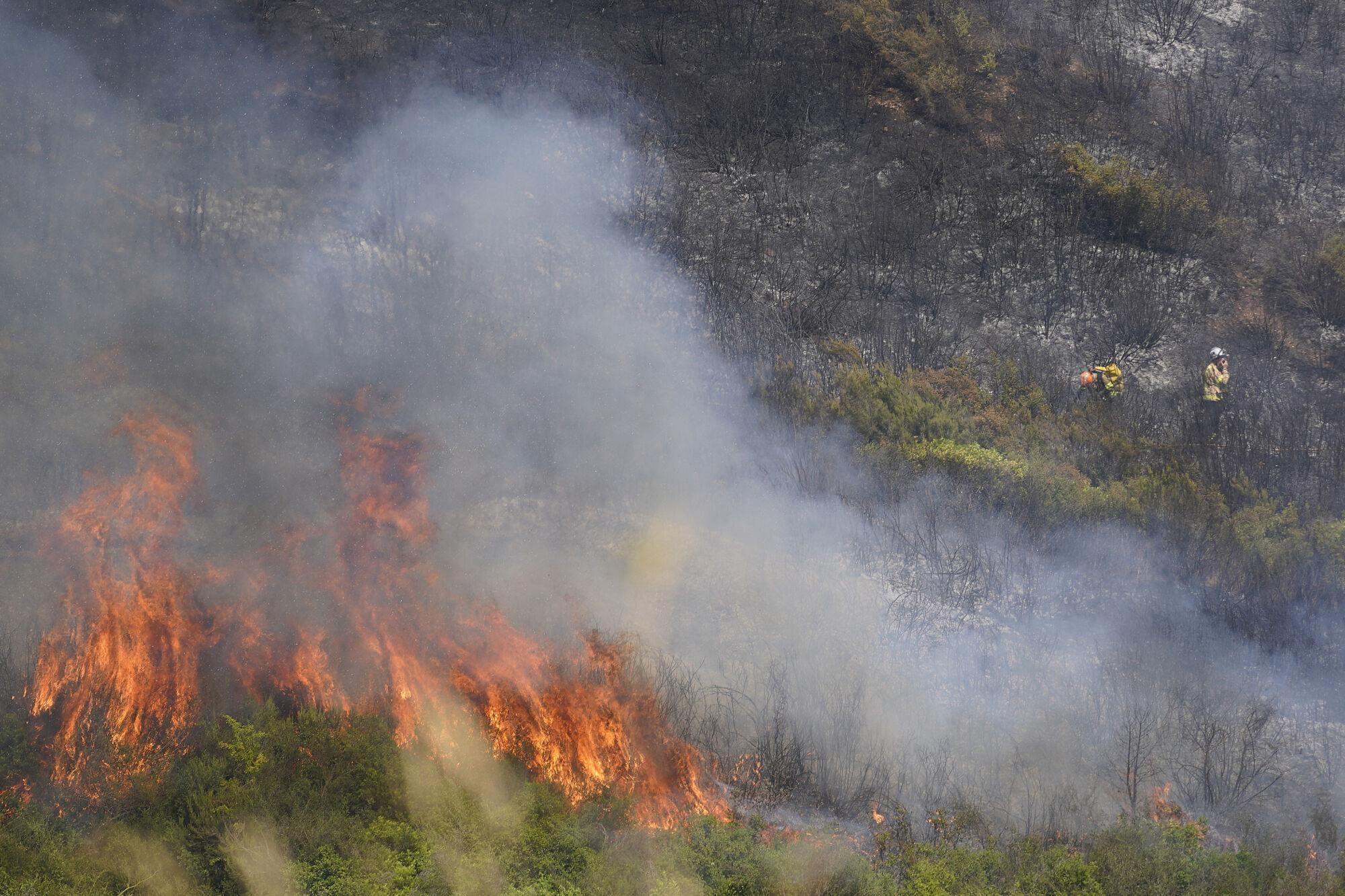 Girona zona boscosa font de la pólvora sant Daniel incendi forestal