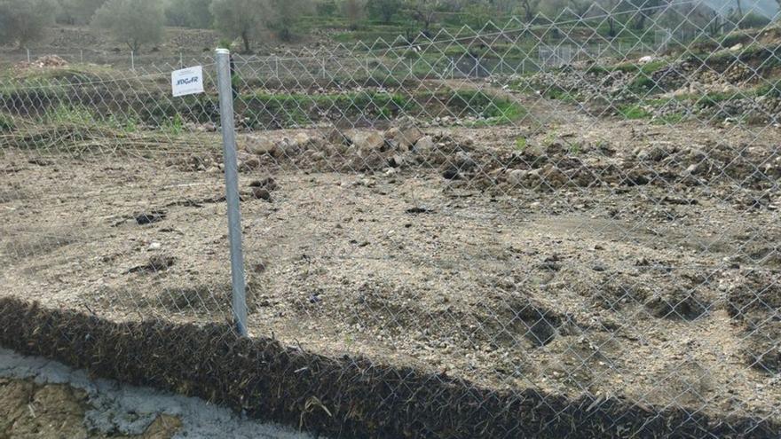 La valla en l'Atzúbia en la que se han acumulado la tierra y las cenizas que han resbalado montaña abajo