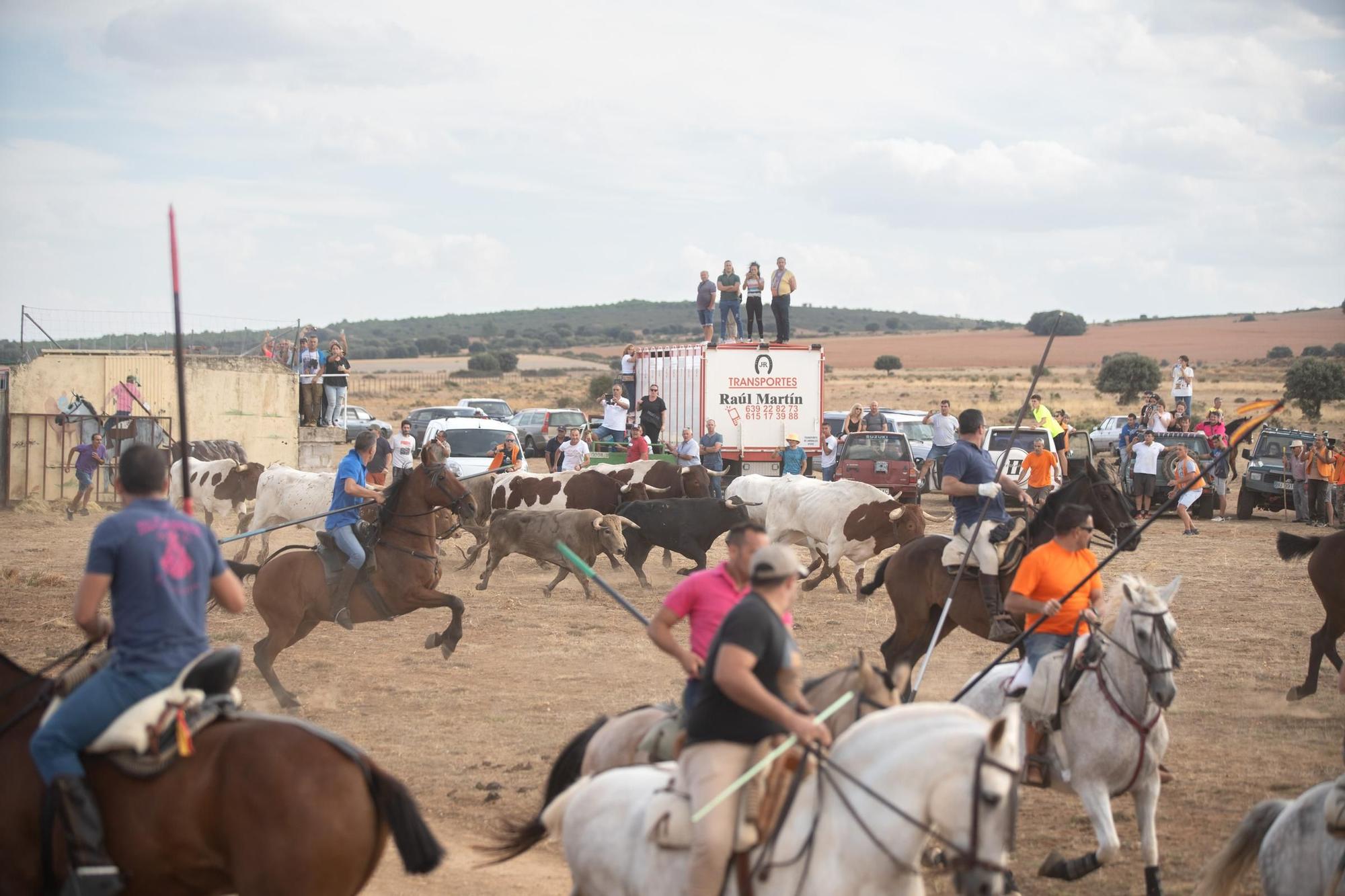 GALERÍA| Multitudinario espanto en Carbajales de Alba