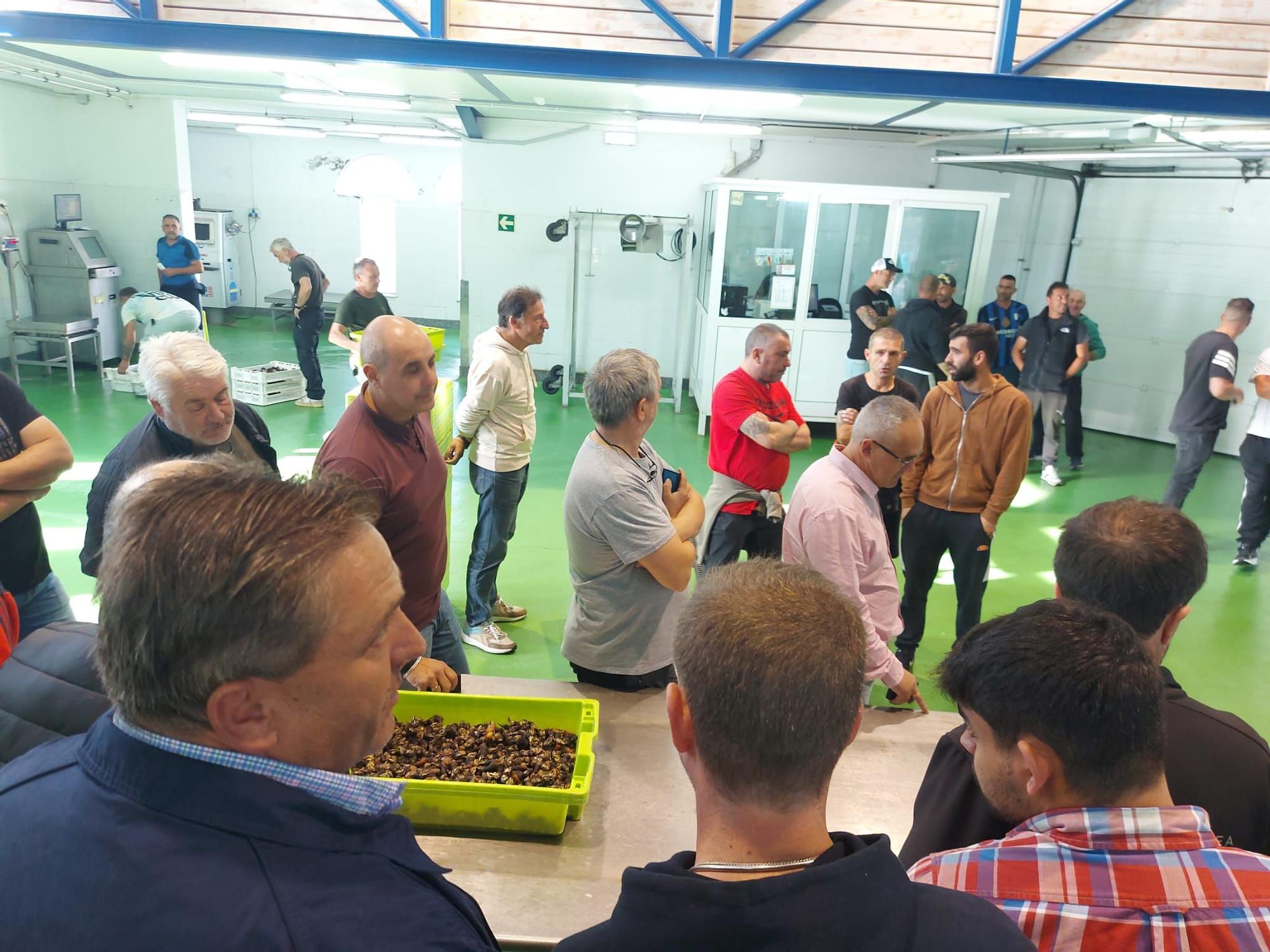 En imágenes: La primera subasta de percebe de la temporada en la rula de Puerto de Vega