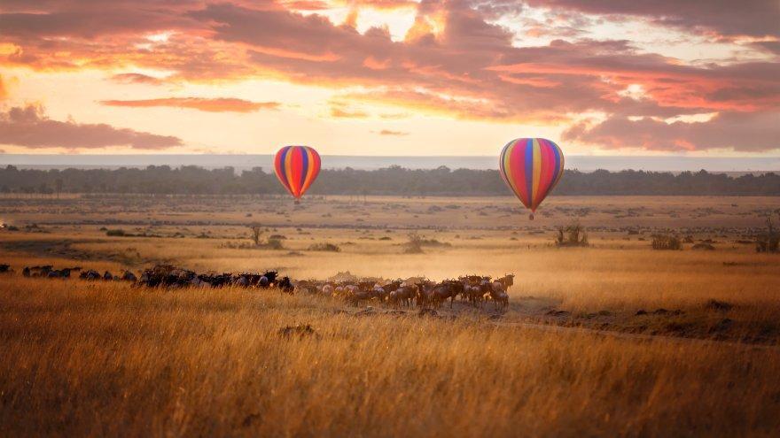 Llega la nueva expedición de VIAJAR.