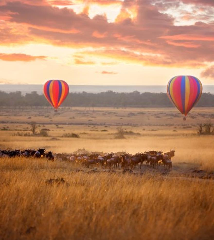 Un viaje a nuestros orígenes en la próxima Expedición VIAJAR