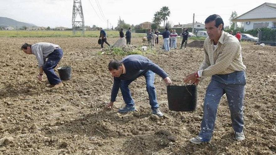 Piden tierra y dignidad