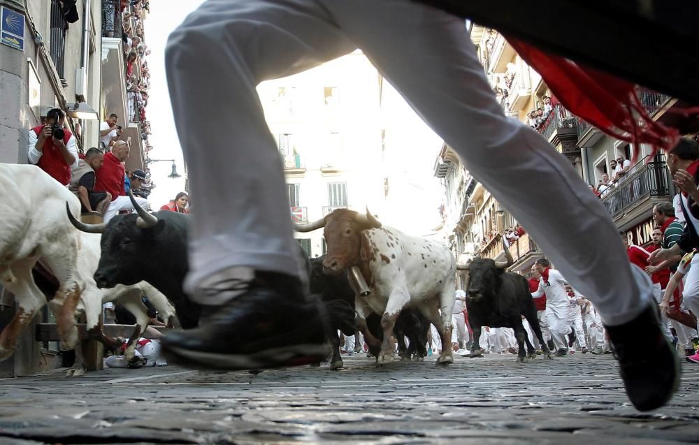 Los toros de Jandilla protagonizan el cuarto ...