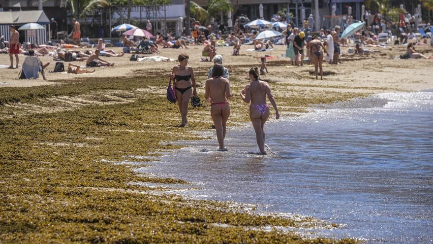 Este es el ingenioso uso que le dan a la seba algunos usuarios de la playa de Las Canteras