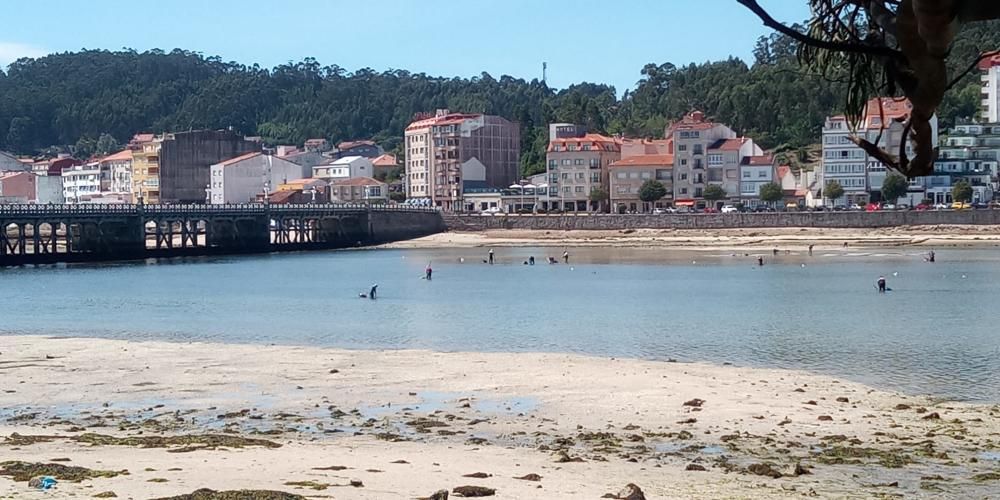 Marisqueo en Arousa