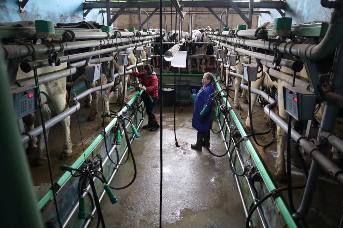 Mujeres en el rural.