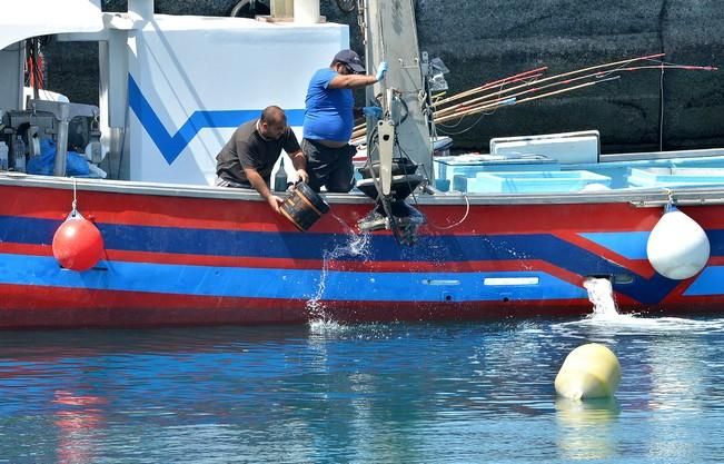 BARCOS ARGUINEGUIN ATUN