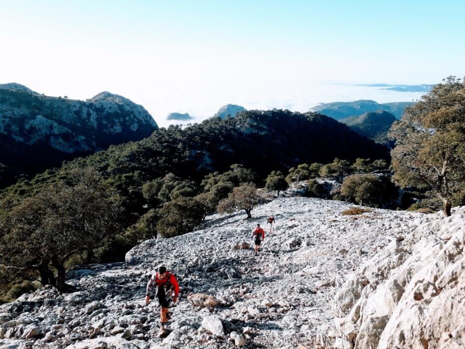 Spektakuläre Bilder vom Wolkenmeer über Mallorca