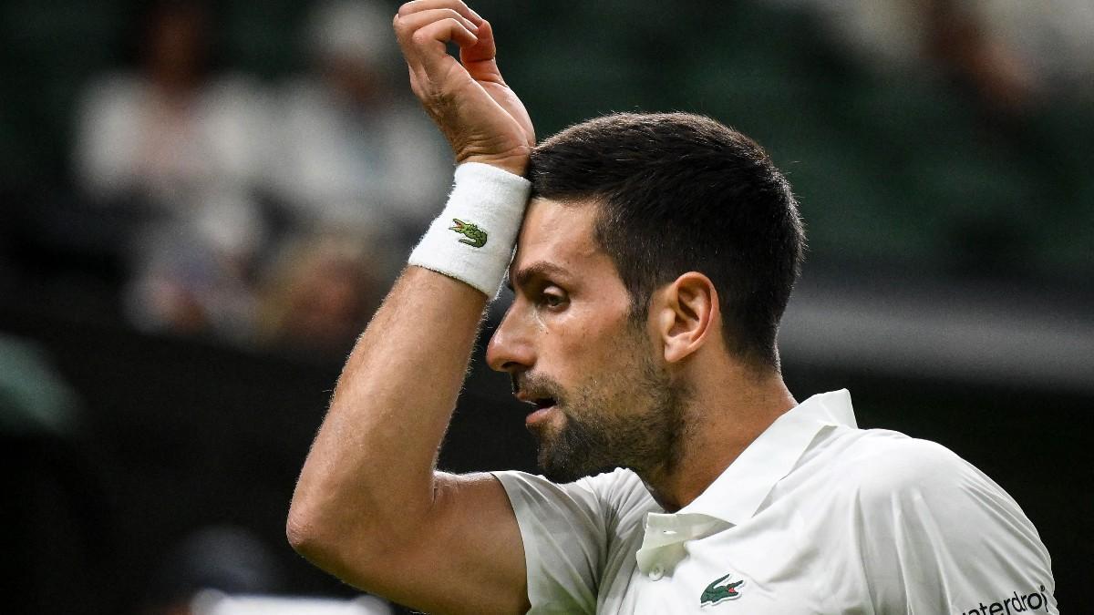 Djokovic, durante el partido