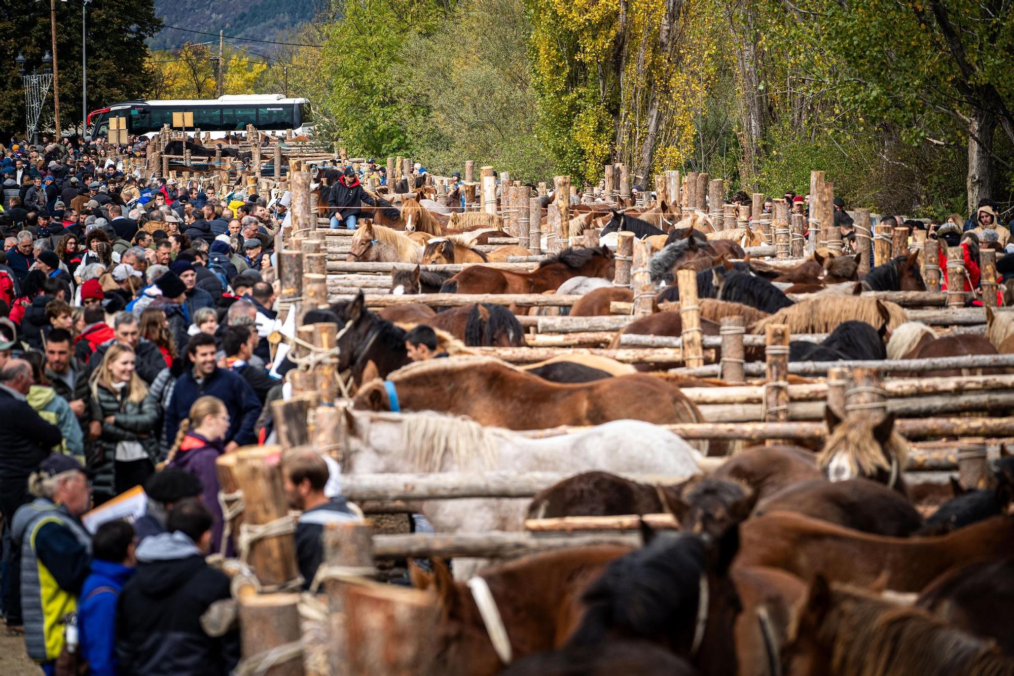 Totes les imatges de la Fira del Cavall de Puigcerdà