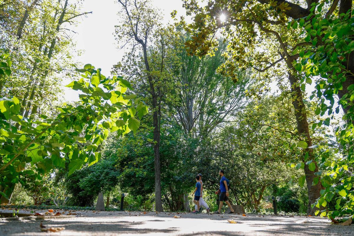 El Jardín Botánico de la Universitat de València