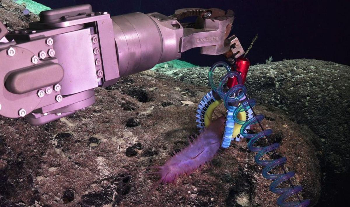 Imágenes obtenidas por elrobot submarino “Subastian”.   | // SCHMIDT OCEAN