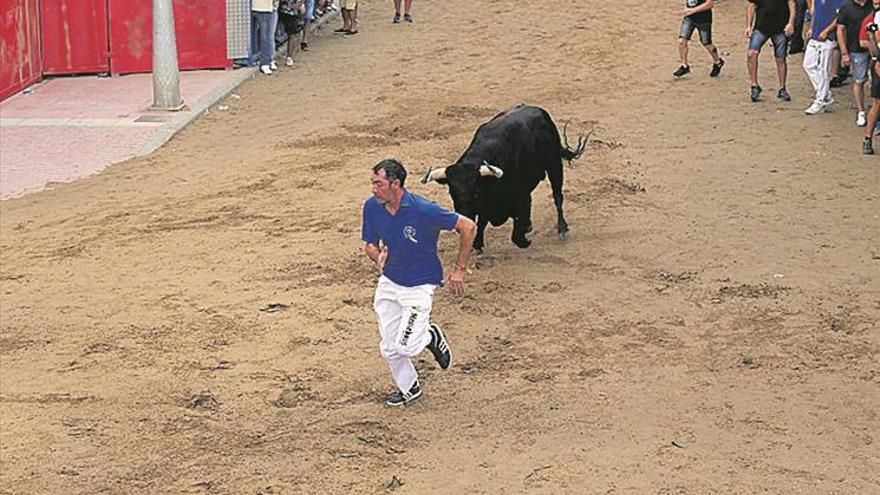 El ‘Bou per la Vila’ deja una jornada sin incidentes y un juego desigual