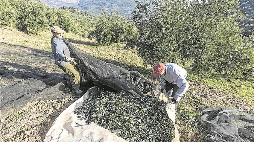 La agricultura concentra el 48% de los contratos firmados en Córdoba