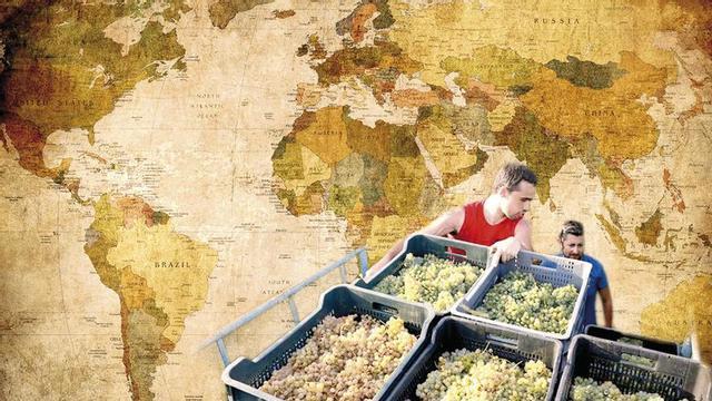 El albariño en el mundo, la hazaña de 5.000 familias