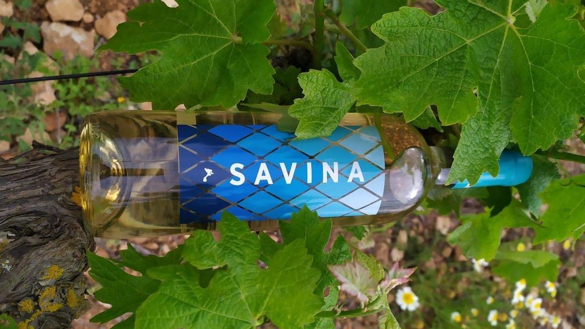 El Savina de Terramoll, uno de los mejores vinos blancos ecológicos de España.