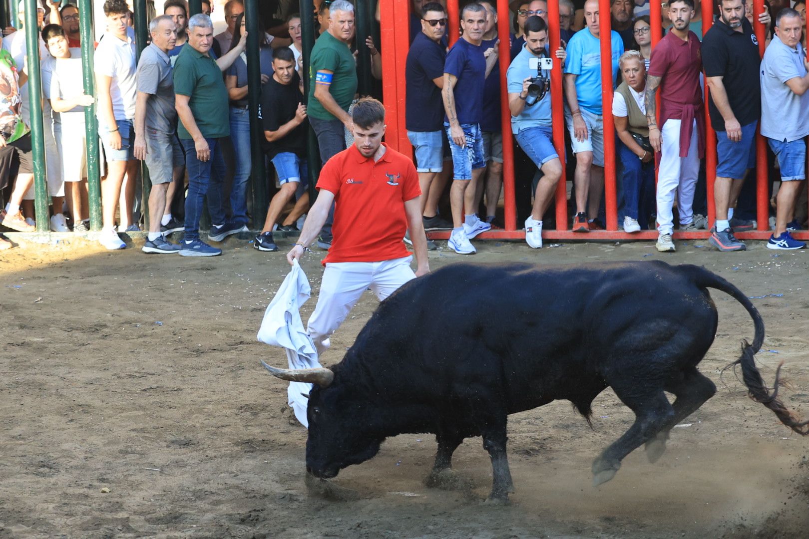 Las imágenes del primer encierro y de las exhibiciones taurinas de las fiestas de Almassora