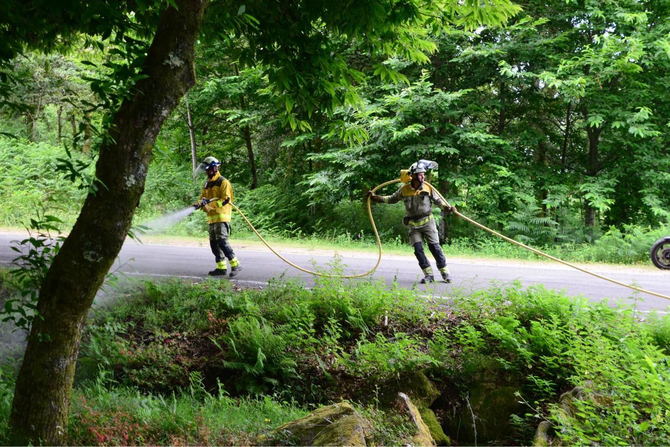 Las imágenes del simulacro contra incendios forestales en Moaña