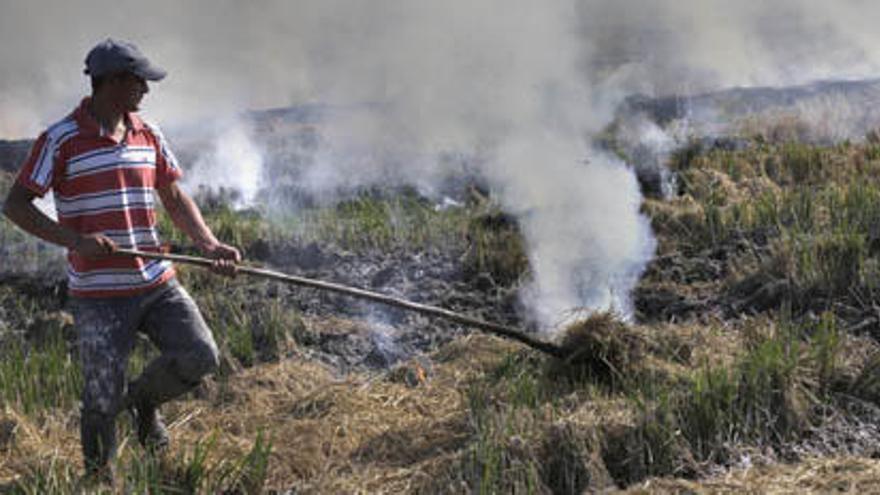 Quema de paja en los arrozales cercanos al Palmar.