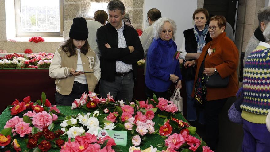 La camelia impregna el centro sociocultural de Rocha Vella