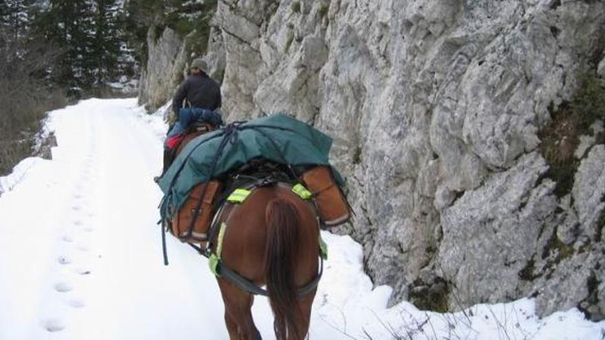 Rubén Gama Velasco cabalgando con un amigo por las montañas austríacas