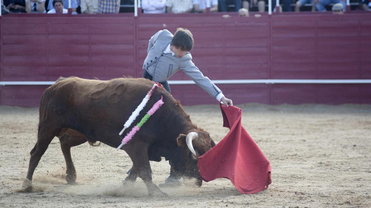 Una novillada en la plaza de toros de Benavente en 2010.
