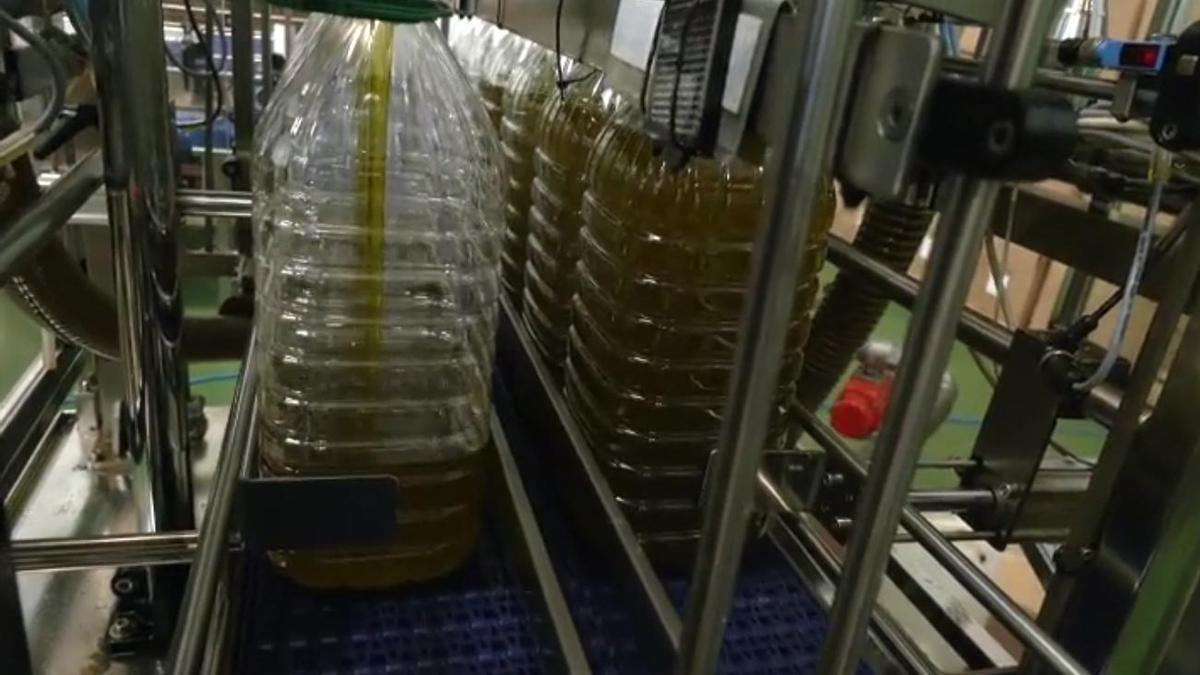 Los productores esperan mejorar las ventas de aceite de oliva
