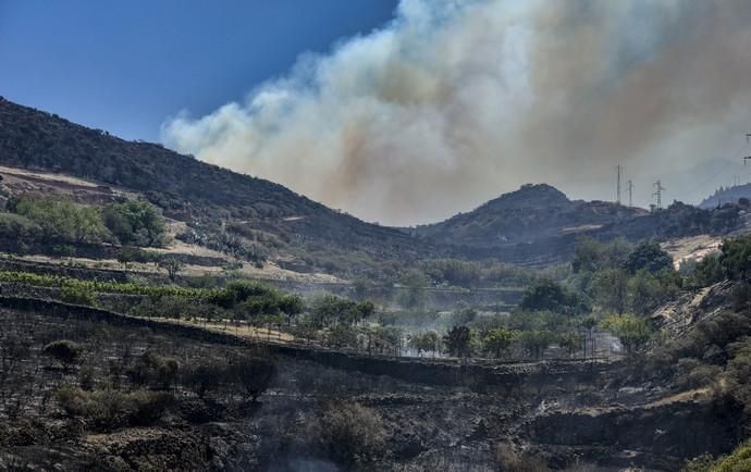 ARTENARA. Incendio en la Cumbre. Finca quemada en Lomo Cuevas y el fuego vivo en Las Peñas.  | 11/08/2019 | Fotógrafo: José Pérez Curbelo