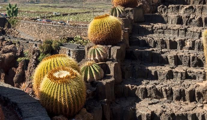 El Puente de diciembre en Lanzarote