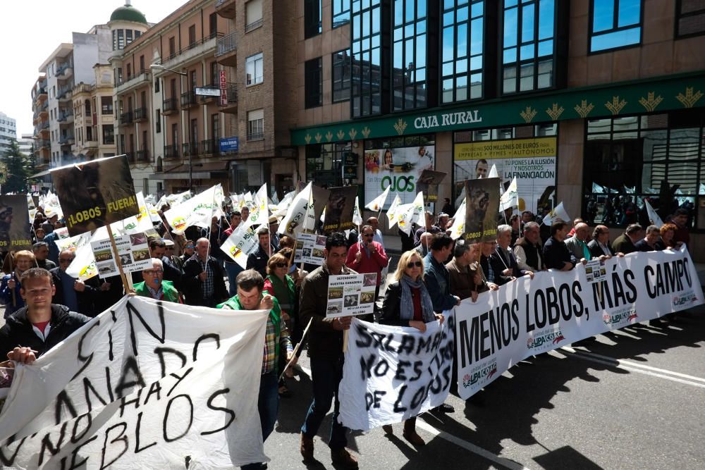 La Alianza se manifiesta en contra del lobo