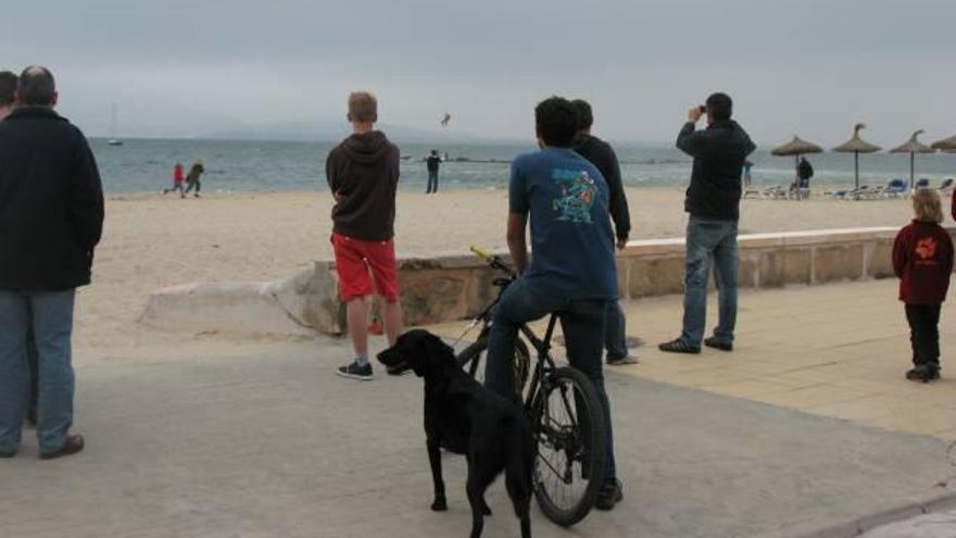 Los dueños de perros deben extremar las precauciones en las playas del municipio.