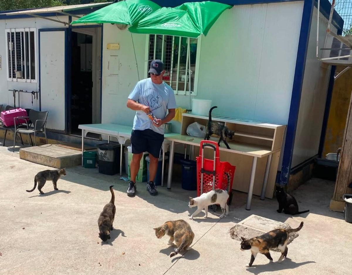 Spama ha visto cómo aumentan en Gandia las recogidas de gatos.