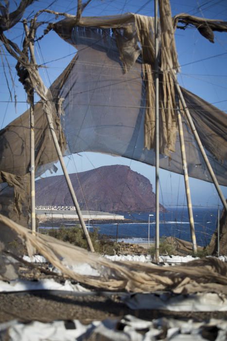 Fotos de invernaderos abandonados en el Sur de ...