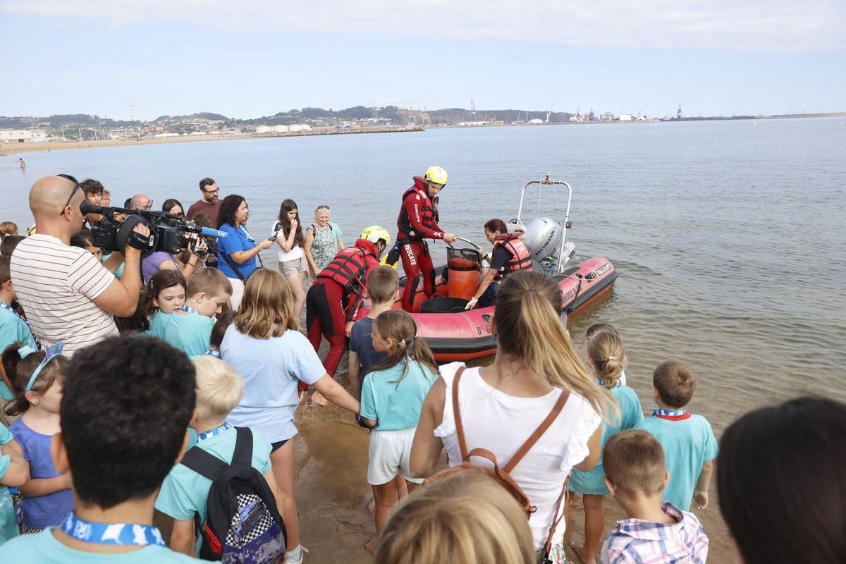 La vuelta al mar de la tortuga lora rescatada en Gijón tras recuperarse en el Acuario, en imágenes La vuelta al mar de la tortuga lora rescatada en Gijón tras recuperarse en el Acuario, en imágenes