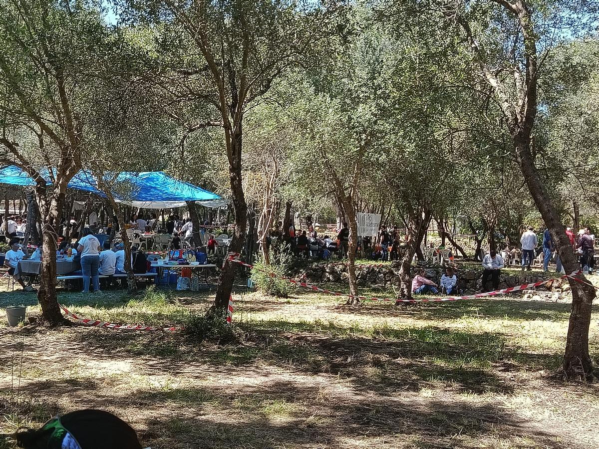 Pancaritat en Crestatx.