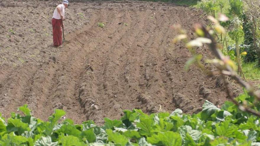 Un hombre prepara la tierra de una finca para sembrar.