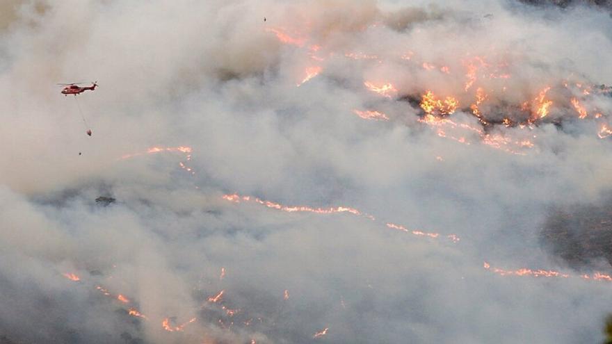 Sierra Bermeja: ¿Y después del superincendio, qué?