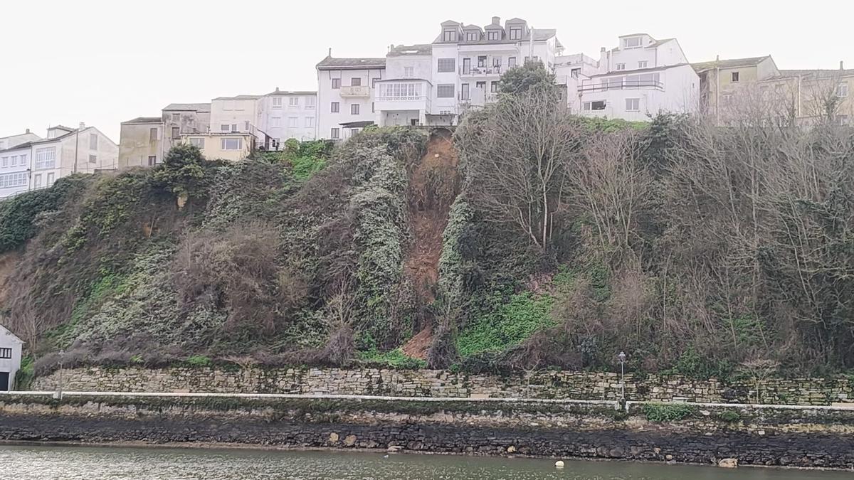 WhatsApp Image 2026-02-08 at 16.46.52