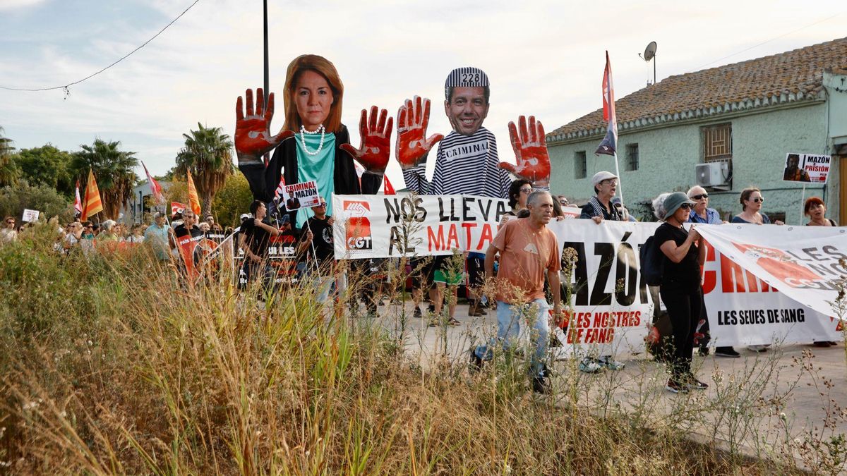 Sigue en directo la duodécima manifestación contra Mazón por la gestión de la dana Sigue en directo la duodécima manifestación contra Mazón por la gestión de la dana