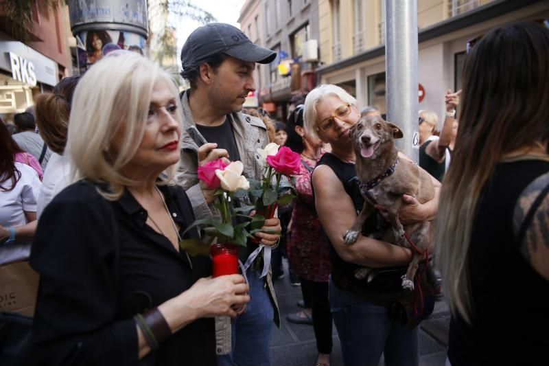 Concentración contra el maltrato animal