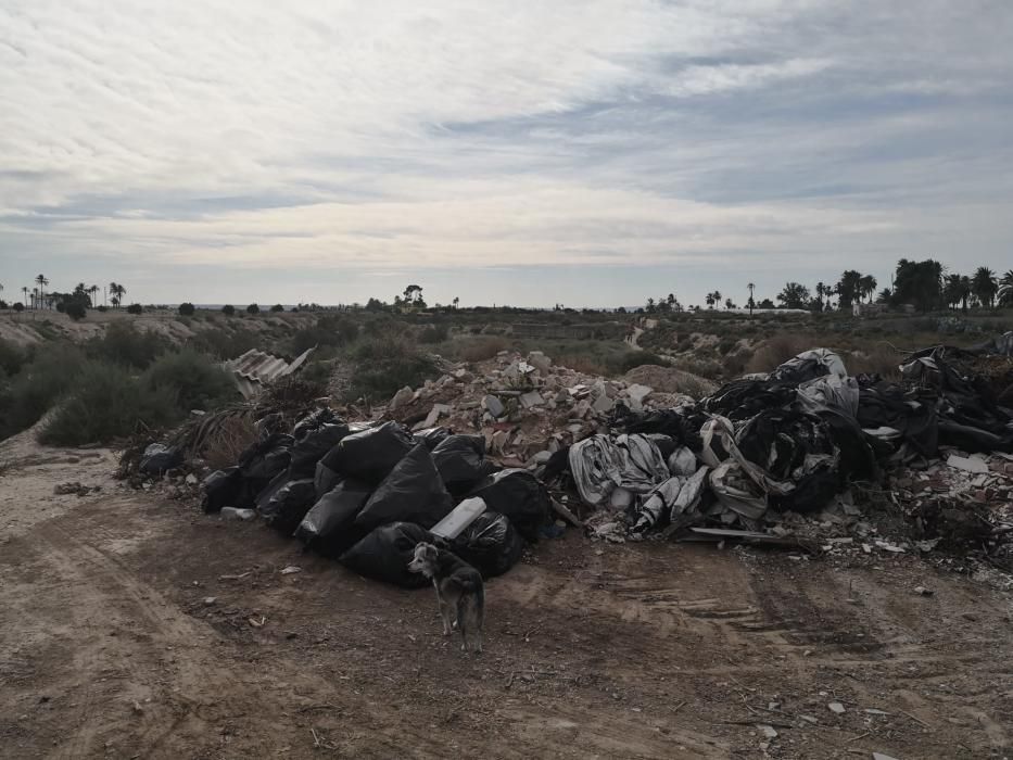 El Vinalopó, en Elche, invadido por toallitas y es