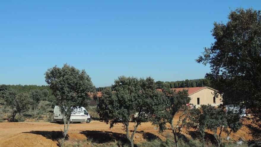 Granja de Morales del Rey, en construcción, que albergará a 3.160 cerdos de cebo.