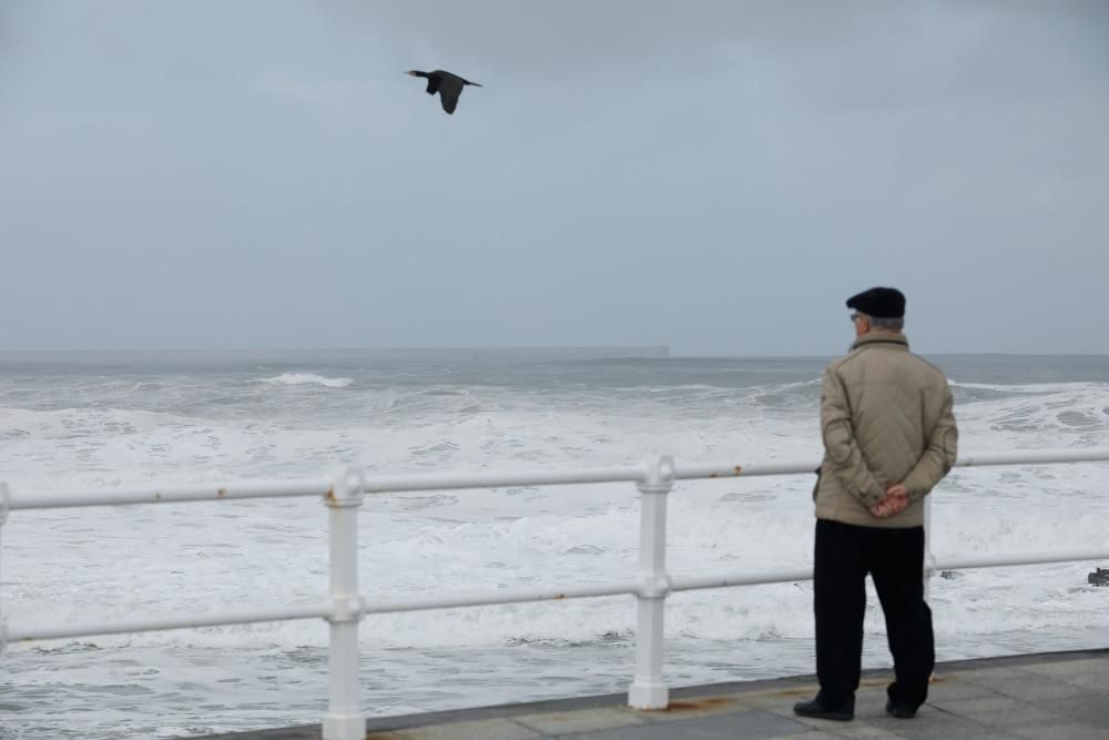 Oleaje en San Lorenzo, en Gijón