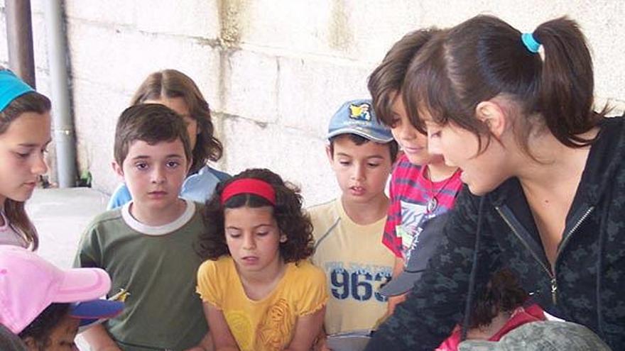 Los pequeños porriñeses durante las actividades al aire libre.