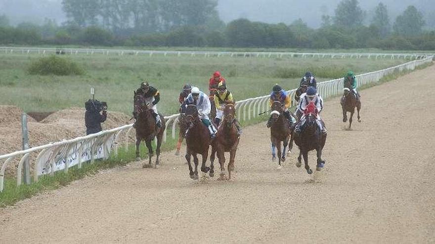 Jinetes, en la recta final de una prueba en el hipódromo. // I.Osorio