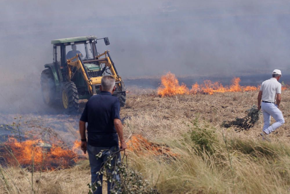 Incendi entre Cruïlles i Monells