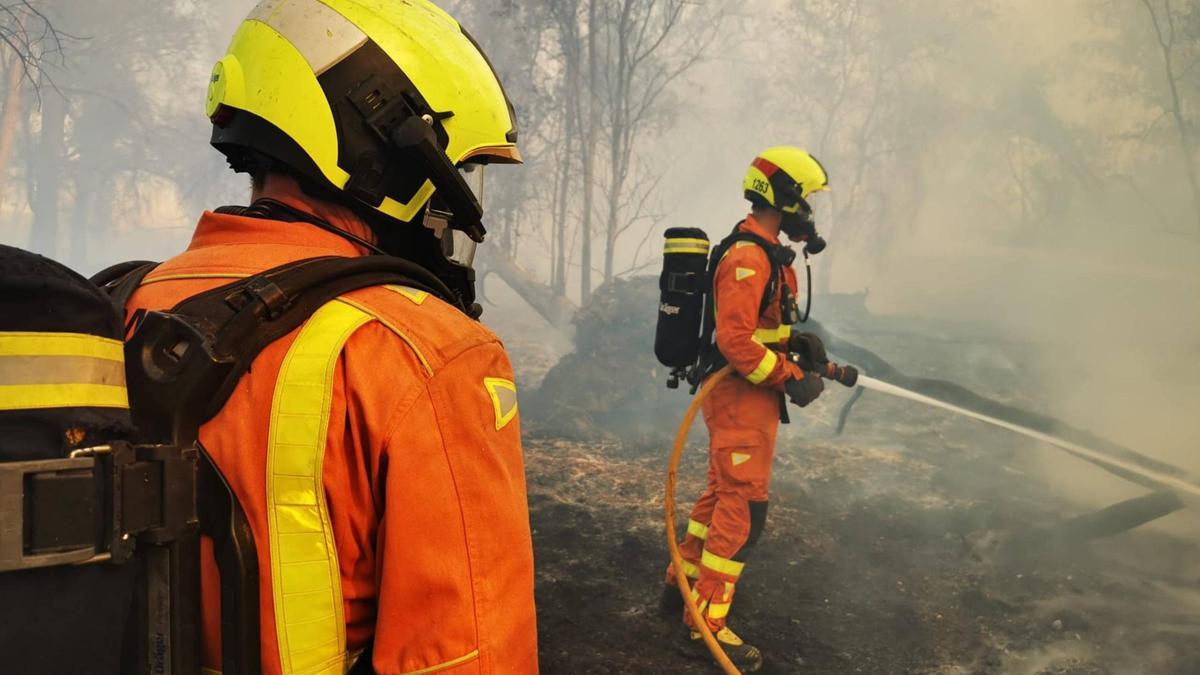 Una gran columna de humo en Almussafes se divisa en toda València