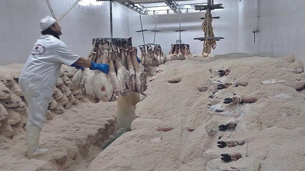 Productos de Navalpedroche.