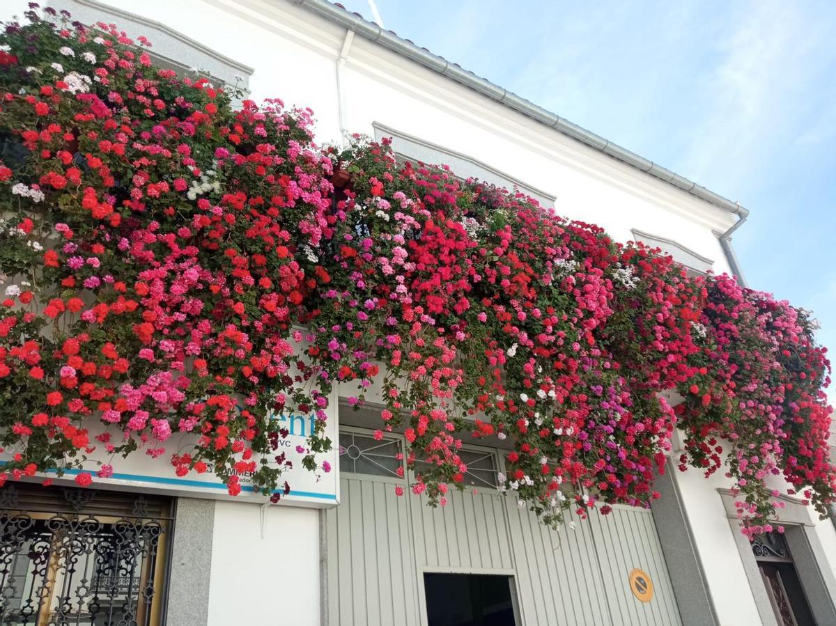 Reja de la calle Pelayo de Villanueva de Córdoba.